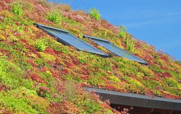 Marshside living roof systems